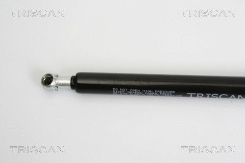 Gas Spring, boot/cargo area