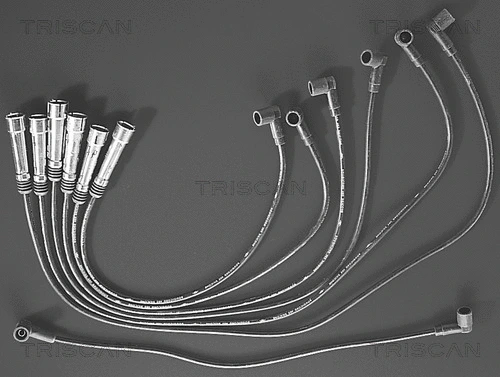 Ignition Cable Kit (8860 7160)