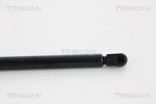 Gas Spring, boot/cargo area