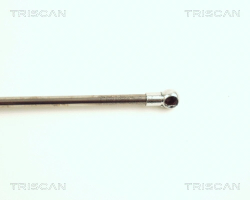 Gas Spring, boot/cargo area
