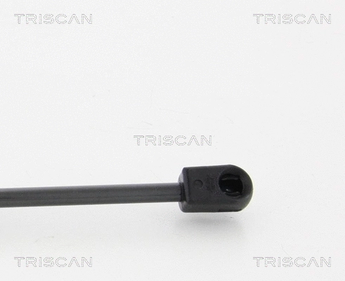 Gas Spring, bonnet