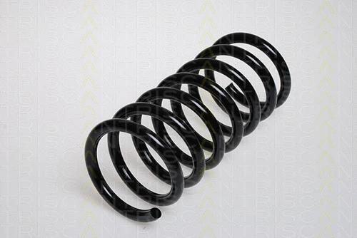 Suspension Spring (8750 1625)