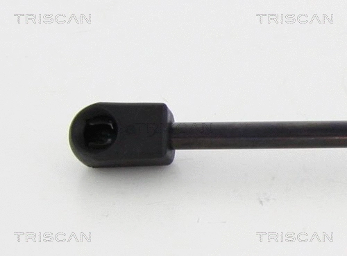 Gas Spring, boot/cargo area (8710 292020)