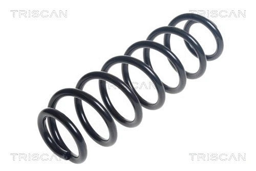 Suspension Spring (8750 29445)