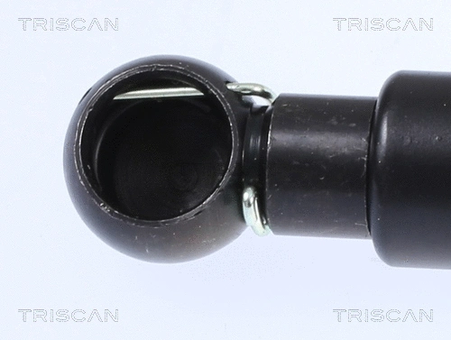 Gas Spring, boot/cargo area