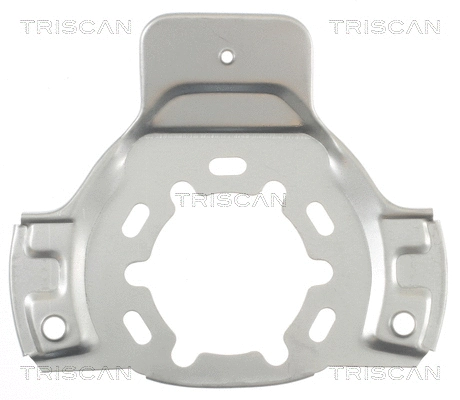 Splash Guard, brake disc (8125 24101)