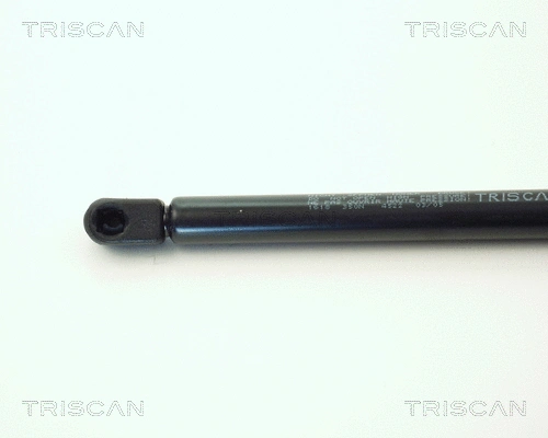 Gas Spring, boot/cargo area