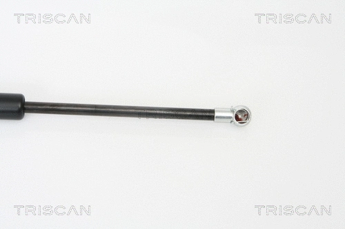 Gas Spring, boot/cargo area