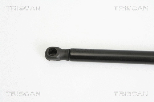 Gas Spring, boot/cargo area