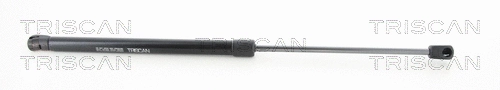 Gas Spring, boot/cargo area (8710 14252)
