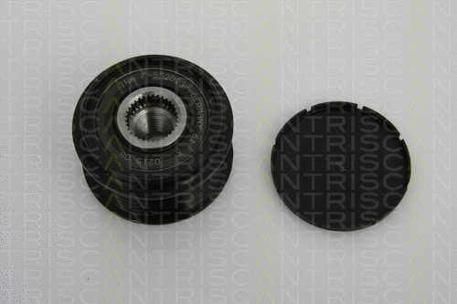 Alternator Freewheel Clutch (8641 274002)