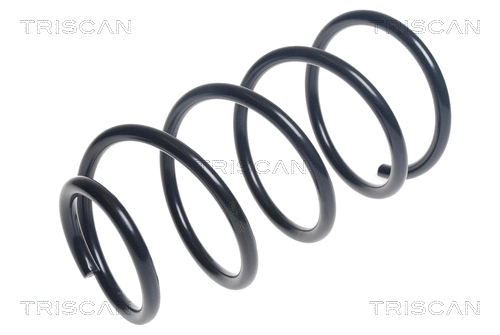Suspension Spring (8750 27123)