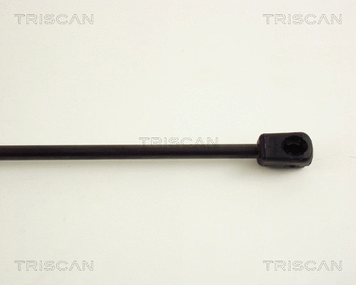 Gas Spring, boot/cargo area