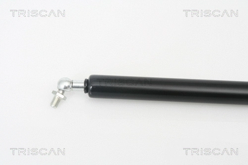 Gas Spring, boot/cargo area