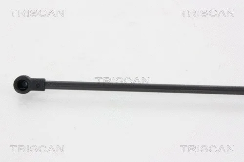 Gas Spring, boot/cargo area