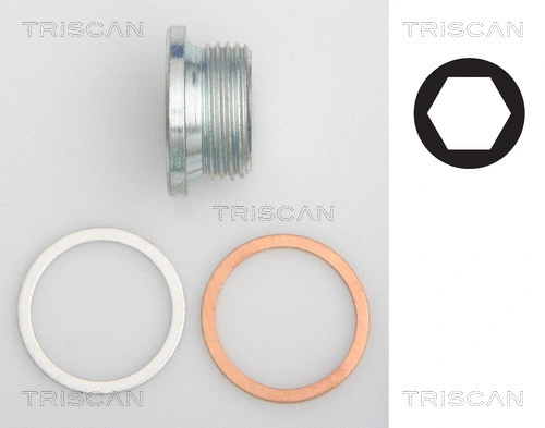 Screw Plug, oil sump (9500 1018)