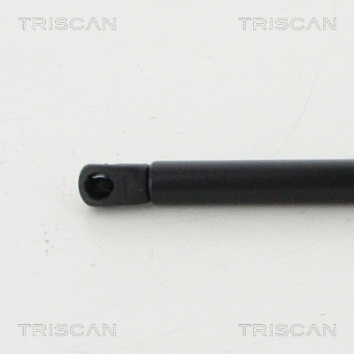 Gas Spring, boot/cargo area