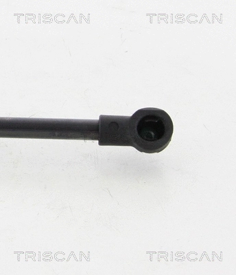 Gas Spring, boot/cargo area