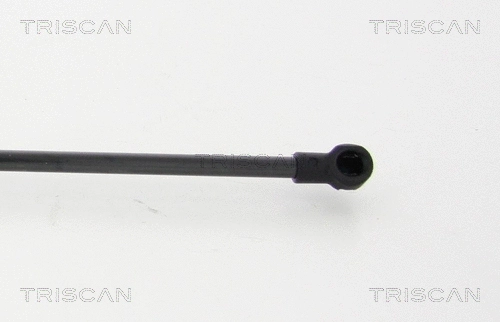 Gas Spring, boot/cargo area