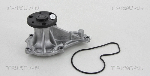 Water Pump, engine cooling (8600 40014)