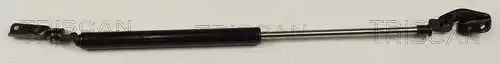 Gas Spring, boot/cargo area (8710 42219)