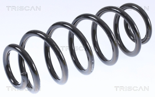 Suspension Spring (8750 29065)