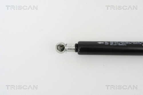 Gas Spring, boot/cargo area