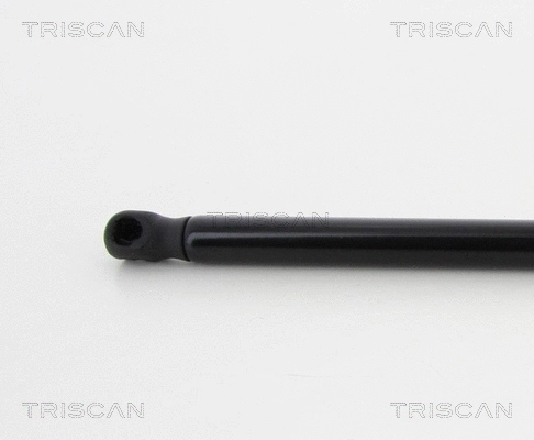 Gas Spring, boot/cargo area