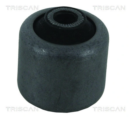 Mounting, control/trailing arm (8500 11820)