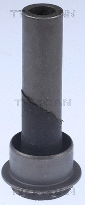 Bushing, axle beam (8500 14819)