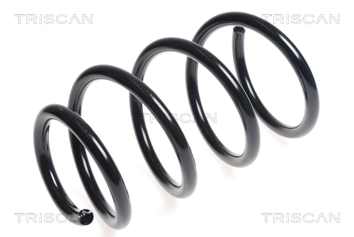 Suspension Spring (8750 25118)