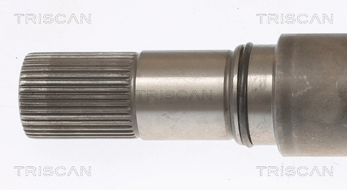 Drive Shaft
