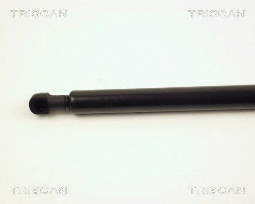 Gas Spring, boot/cargo area