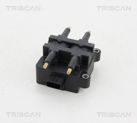 Ignition Coil (8860 68007)