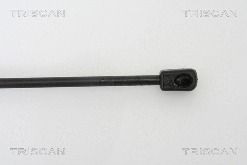 Gas Spring, boot/cargo area