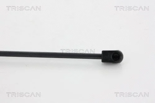 Gas Spring, boot/cargo area