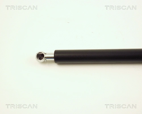 Gas Spring, boot/cargo area