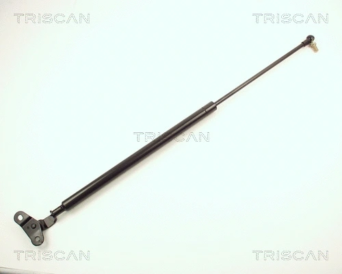 Gas Spring, boot/cargo area (8710 13201)