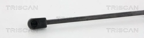 Gas Spring, boot/cargo area
