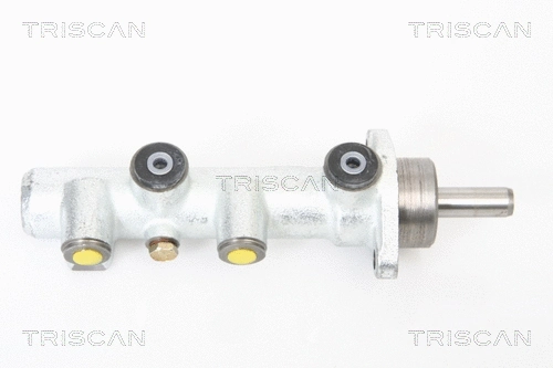 Brake Master Cylinder (8130 15136)