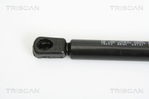 Gas Spring, boot/cargo area