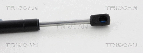 Gas Spring, boot/cargo area