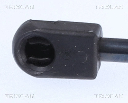 Gas Spring, boot/cargo area