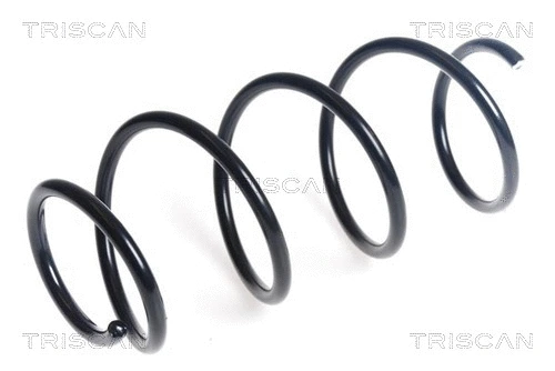 Suspension Spring (8750 43141)