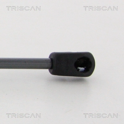 Gas Spring, bonnet