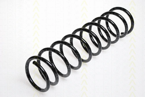 Suspension Spring (8750 2519)
