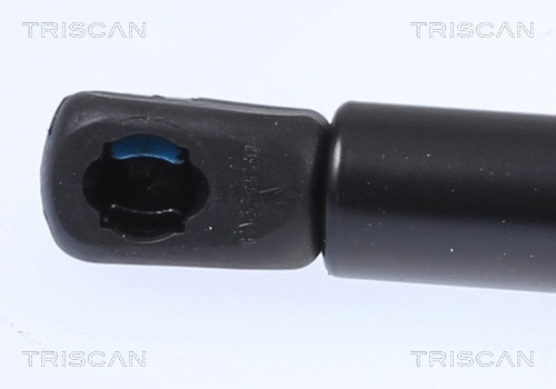 Gas Spring, bonnet