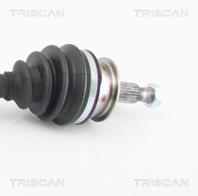 Drive Shaft