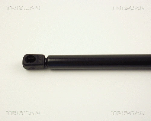 Gas Spring, boot/cargo area
