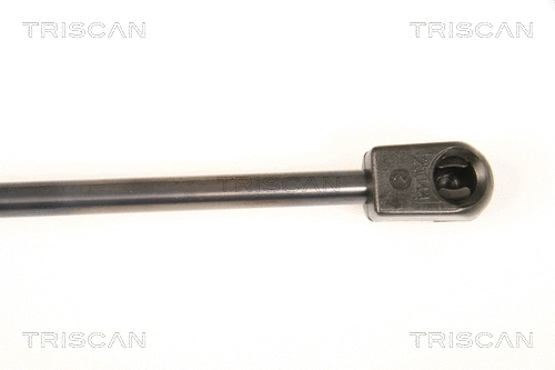Gas Spring, boot/cargo area